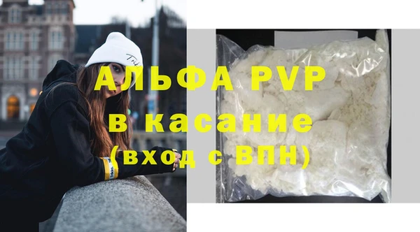 СК Беломорск