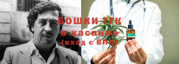 spice Богородск