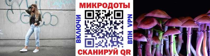 Галлюциногенные грибы мицелий Пионерский